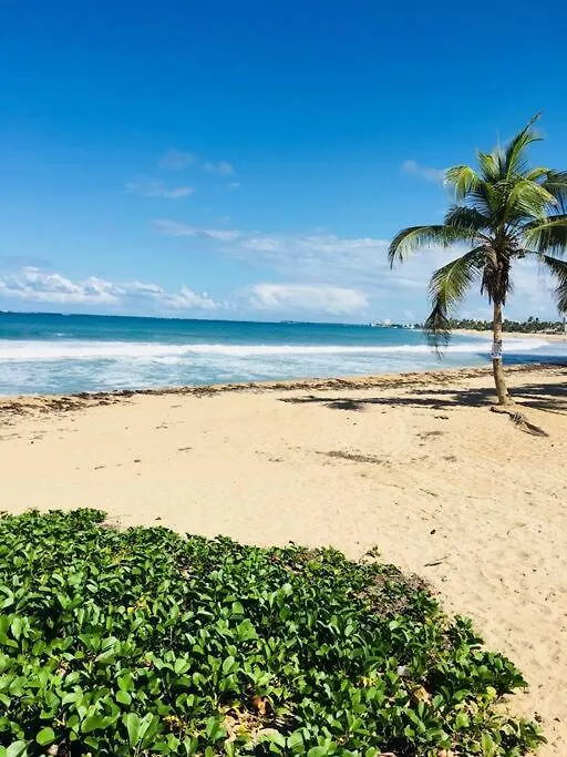 Big Place 2 Bedroom 3 Beds, Wf, Tv, Balcony & Parking San Juan